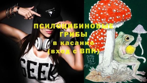 PSILOCYBIN Белокуриха