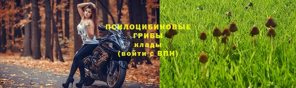 стаф Беломорск